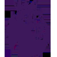 Ӣ�� Ŧ��˹����vs������20251206