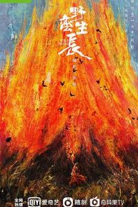 Ұ������[��Ӱ��˵]