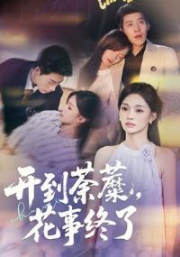 ����ݱ�£���������