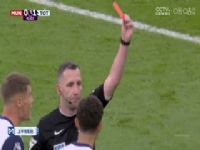 Ӣ������ ����VS������ķ�ȴ� 20240929