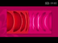 WCBAA ׸԰VSĴԶ 20241224